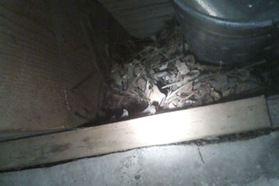 Rats Nest Under structure by heat duct
