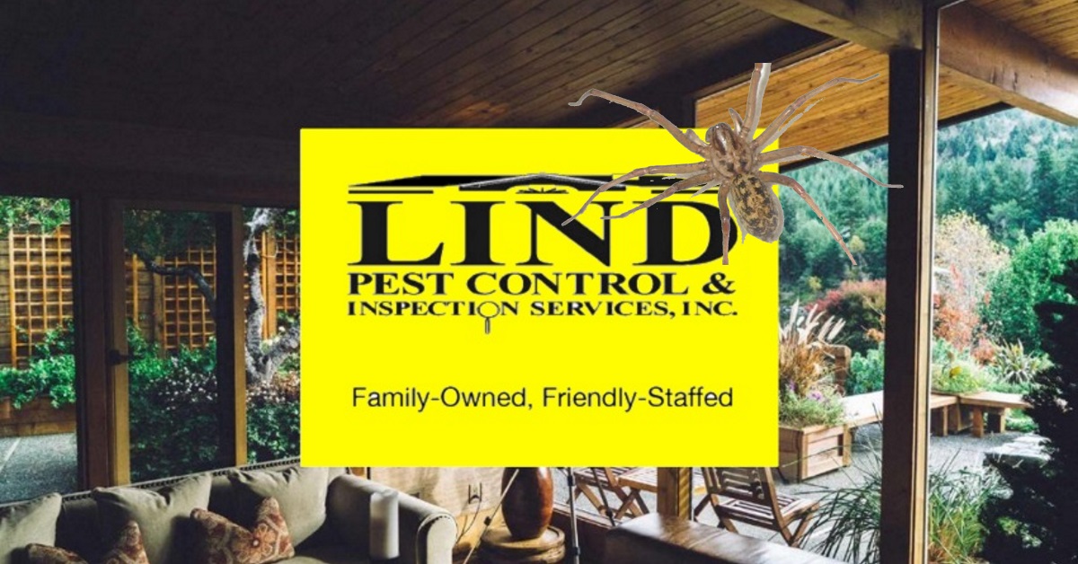 Lind Pest Control logo with Hobo Spider