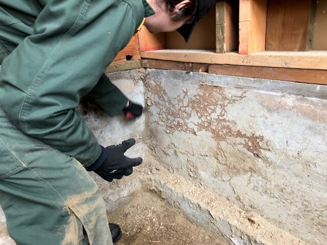 Scraping to make certain all of the subterranean termite tubing is removed. (thoroughness throughout the process is of the utmost importance!