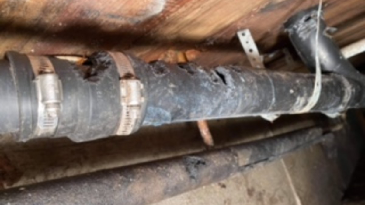 plumbing damage in a home due to rodents